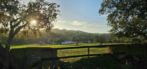 Zonsondergang bij Casa da Vinha - Glamping Lodges in Alentejo, met groene velden en bomen.