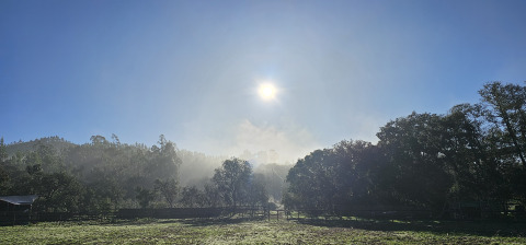 Amanecer sobre colinas y árboles en Casa da Vinha - Glamping Lodges en Alentejo, Portugal.
