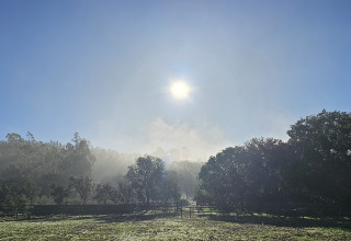 Alba sulle colline panoramiche e alberi a Casa da Vinha - Glamping Lodges in Alentejo, Portogallo.