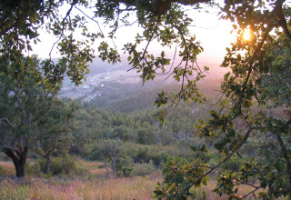 Vista panorámica al atardecer desde Casa da Vinha - Glamping Lodges en Alentejo, rodeada de naturaleza.