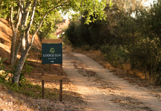 Camino de entrada a Lodge Lua - Glamping Algarve, Portugalvillas, rodeado de naturaleza y árboles al atardecer.
