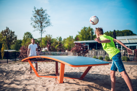 Tennis da tavolo, calcio da tavolo - Ackersate Villatent - Voorthuizen, Gheldria, Paesi Bassi