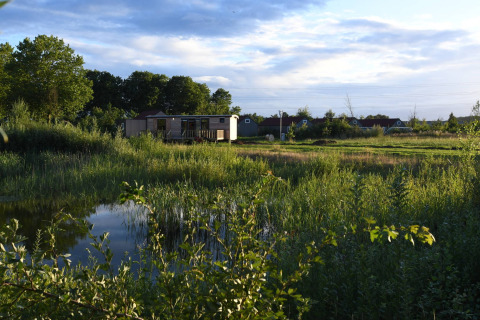 Alojamiento glamping en Stadslandgoed De Heicohoeve - Pipowagens Gelderland rodeado de naturaleza verde.