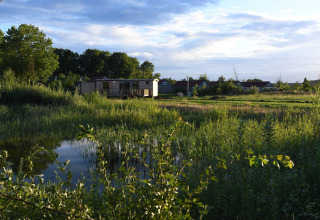 Hébergement glamping à Stadslandgoed De Heicohoeve - Pipowagens Gelderland entouré de verdure luxuriante.