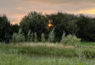 Abendstimmung bei Stadslandgoed De Heicohoeve - Pipowagens Gelderland mit Sonnenuntergang hinter Bäumen.