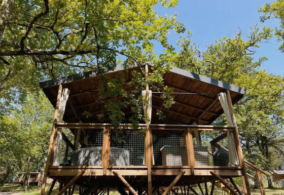 Træhytte glamping indkvartering i en grøn skov ved Whaka Lodge, glampingplads i Sydfrankrig, set nedefra.