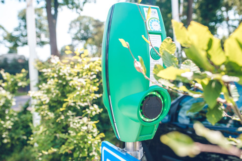 Laadpaal voor elektrische auto’s bij vakantiepark Ackersate, omgeven door groen in Gelderland, Nederland.