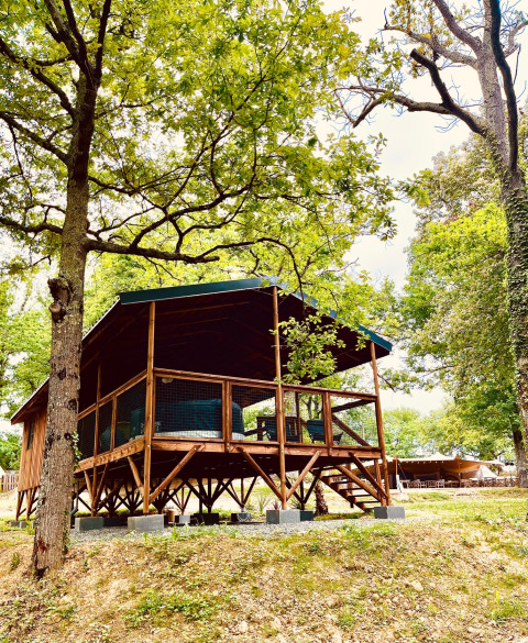 Glamping accommodation at Whaka Lodge – elevated wooden cabin surrounded by lush trees in South France.