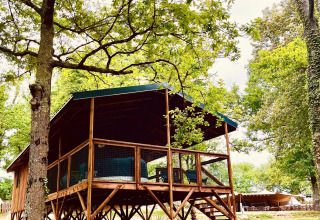 Alojamiento glamping en Whaka Lodge: cabaña elevada de madera entre frondosos árboles en el sur de Francia.