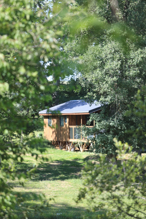 Houten glampinghuisje bij Whaka Lodge - Lifestyle nature camp in Zuid-Frankrijk, verscholen tussen bomen.