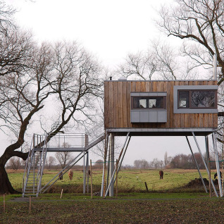Cabane moderne sur pilotis dans un champ vert avec vaches et arbres, glamping à Elbinselhof Krautstrand.
