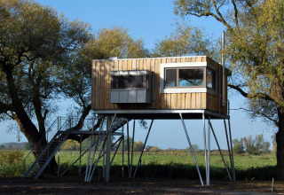 Moderne boomhut op hoge palen, omgeven door bomen en weilanden bij Elbinselhof Krautstrand, Nedersaksen.