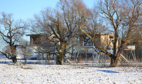 Cabanes dans les arbres à Elbinselhof Krautstrand, Basse-Saxe, hébergement glamping en hiver.