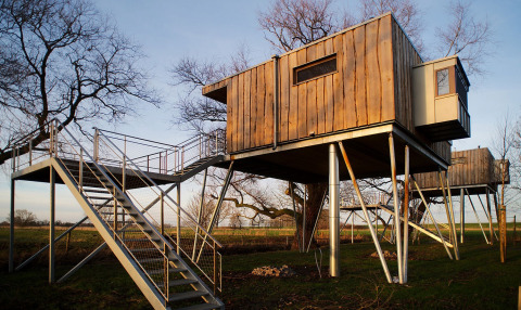 Alloggio glamping in casa sull'albero a Elbinselhof Krautstrand, Bassa Sassonia, su palafitte moderne.