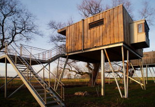 Baumhaus-Glamping-Unterkunft im Elbinselhof Krautstrand, Niedersachsen, moderne, auf Stelzen erhoben.
