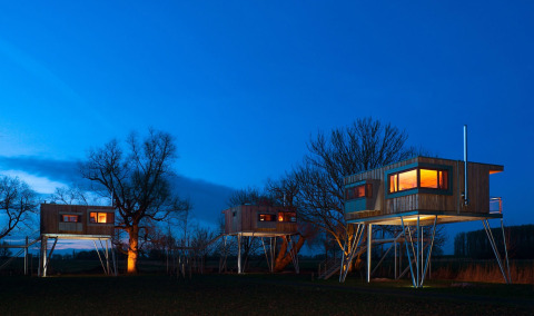 Casas en los árboles sobre pilotes en Elbinselhof Krautstrand, Niedersachsen, iluminadas al anochecer.
