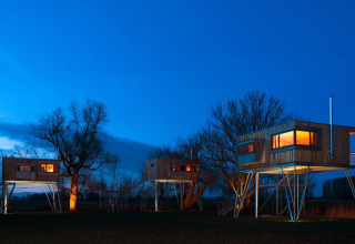Treehouses on stilts at Elbinselhof Krautstrand, Lower Saxony, glowing warmly against a blue evening sky.
