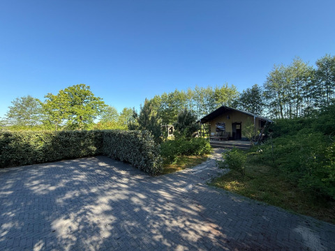 Glampingaccommodatie bij Koakelbonts Lovenest - Safaritent Gelderland, omgeven door groene bomen en struiken.