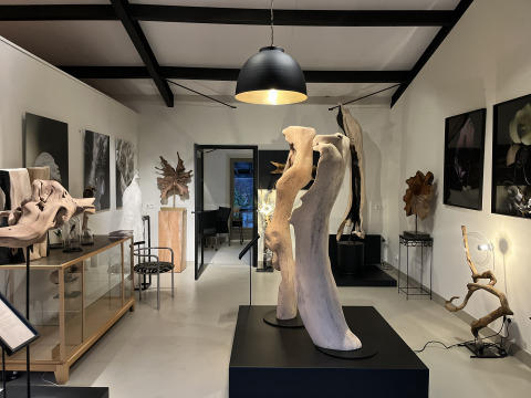 Galerie d'art moderne avec sculptures en bois et œuvres exposées, bien éclairée au Koakelbonts Lovenest.