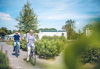 Location de vélos - Ackersate Villatent - Voorthuizen, Gelderland, Pays-Bas