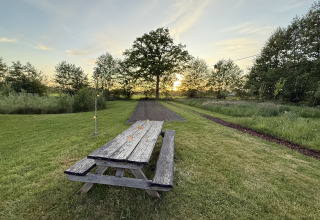 Picknicktafel en groene weide bij zonsondergang bij Koakelbonts Lovenest Safaritent accommodatie, Gelderland.