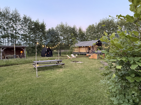 Glamping bij Koakelbonts Lovenest - Safaritent Gelderland met picknicktafel, lampjes en veel groen.
