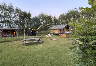 Glamping-Unterkunft Koakelbonts Lovenest - Safarizelt Gelderland, naturnah mit Sitzbereich und Lichtern.