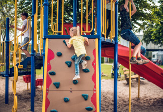 Kinderen spelen op een avontuurlijke speeltuin met klimwand, glijbaan en klimtouw in Vakantiepark Ackersate.
