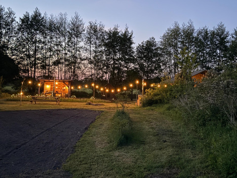Avondzicht op Koakelbonts Lovenest - Safaritent Gelderland met lichtsnoeren en bos op de achtergrond.