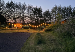 Avondzicht op Koakelbonts Lovenest - Safaritent Gelderland met lichtsnoeren en bos op de achtergrond.