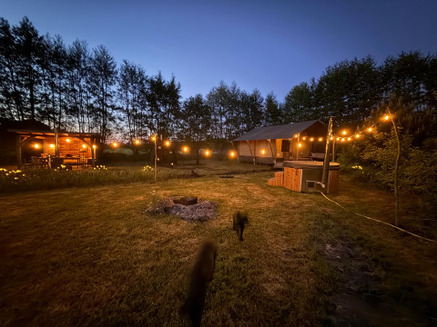 Glamping accommodation Koakelbonts Lovenest - Safaritent Gelderland with string lights at dusk outdoors.