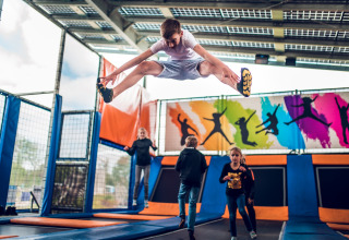 Parco trampolino - Ackersate Villatent - Voorthuizen, Gheldria, Paesi Bassi