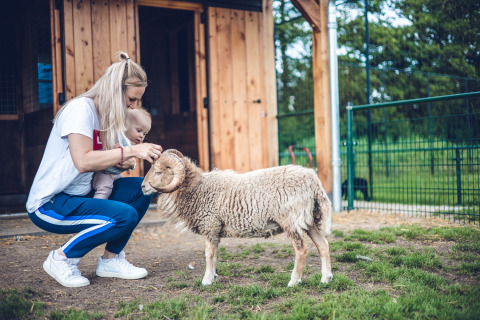 Caresser une chèvre - Ackersate Villatent - Voorthuizen, Gelderland, Pays-Bas