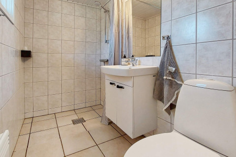 Baño moderno con ducha, lavabo y WC en una casa de vacaciones para 6 personas en Hemmet, Dinamarca.