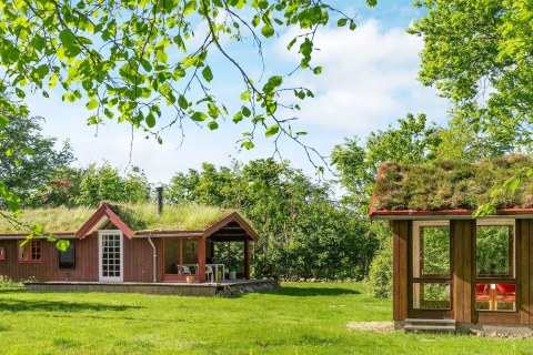 Casa vacanze per 6 persone a Roslev, Danimarca, con tetto verde e giardino rigoglioso immerso nella natura.