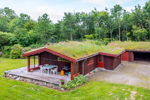 Foto eines Ferienhauses mit Grasdach und Holzterrasse in Roslev, Dänemark, umgeben von Natur.