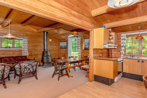 Knusse houten woonkamer en keuken in ‘6-persoons vakantiehuis in Roslev’, Denemarken, met houtkachel.