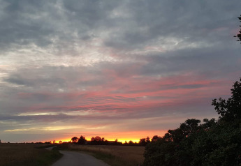 Wunderschöner Sonnenuntergang bei einer 5-Sterne-Ferienwohnung in Sydals, Dänemark, mit Wolkenhimmel.
