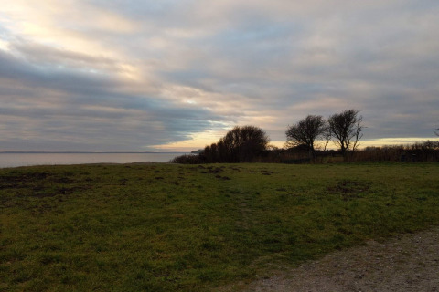 Uitzicht op grasveld en bomen bij zonsondergang vanaf 5-sterren vakantiehuis in Sydals, Denemarken.