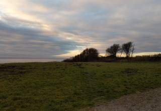 Landschaft mit Wiese, Bäumen und See im Sonnenuntergang bei 5-Sterne-Ferienhaus in Sydals, Dänemark.