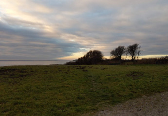 Landscape view of grassy field and trees at sunset near 5 star holiday home in Sydals, Denmark.