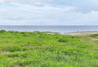 Blick auf grüne Wiese, Strand und Meer beim 5-Sterne-Ferienhaus in Sydals, Dänemark, unter bewölktem Himmel.