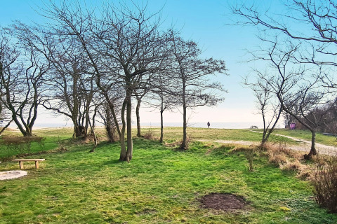 Vue depuis une maison de vacances 5 étoiles à Sydals, Danemark, pelouse verte, arbres et chemin vers la mer.