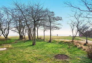 Udsigt fra 5-stjernet feriehus i Sydals, Danmark, med grøn græsplæne, træer og udsigt over vandet.