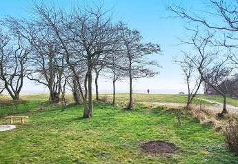 Blick vom 5-Sterne-Ferienhaus in Sydals, Dänemark, mit Rasen, Bäumen und Aussicht auf das Wasser.