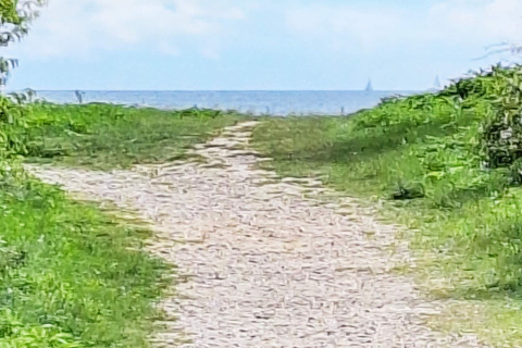 Kiezelig pad omgeven door groen leidt naar de zee bij 5 star holiday home in Sydals, Denemarken.