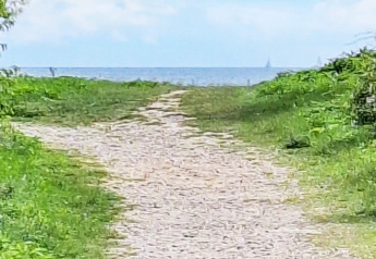 Sentier caillouteux bordé de verdure menant à la mer près de 5 star holiday home in Sydals, Danemark.