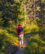 Wandern - Vodatent - Campingpark de Vuurkuil - Hulshorst - Gelderland - Niederlande