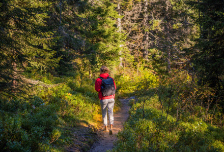 Senderismo - Vodatent - Campingpark de Vuurkuil - Hulshorst - Güeldres - Países Bajos
