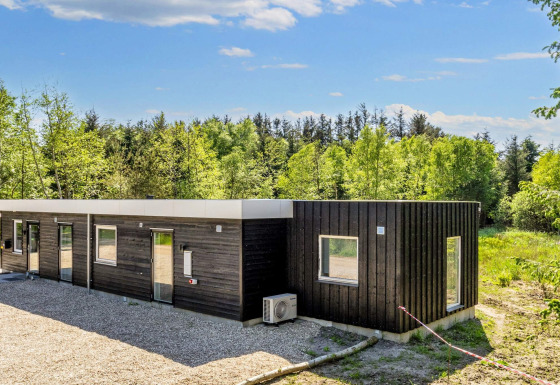 Moderne 5-sterren vakantiewoning in Øster Assels, omgeven door bos en blauwe lucht op een zonnige dag.